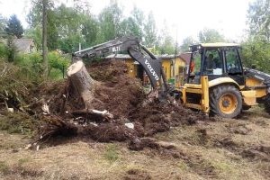Расчистка участка от деревьев и кустарников